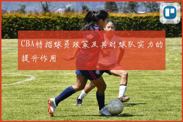 CBA特招球员政策及其对球队实力的提升作用