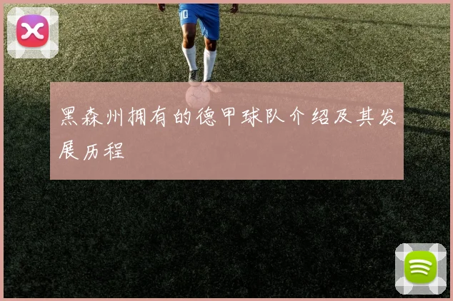 黑森州拥有的德甲球队介绍及其发展历程