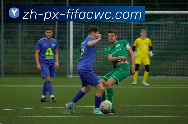 世界杯在线观看品牌故事