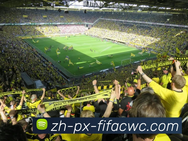 世界杯在线观看服务体系